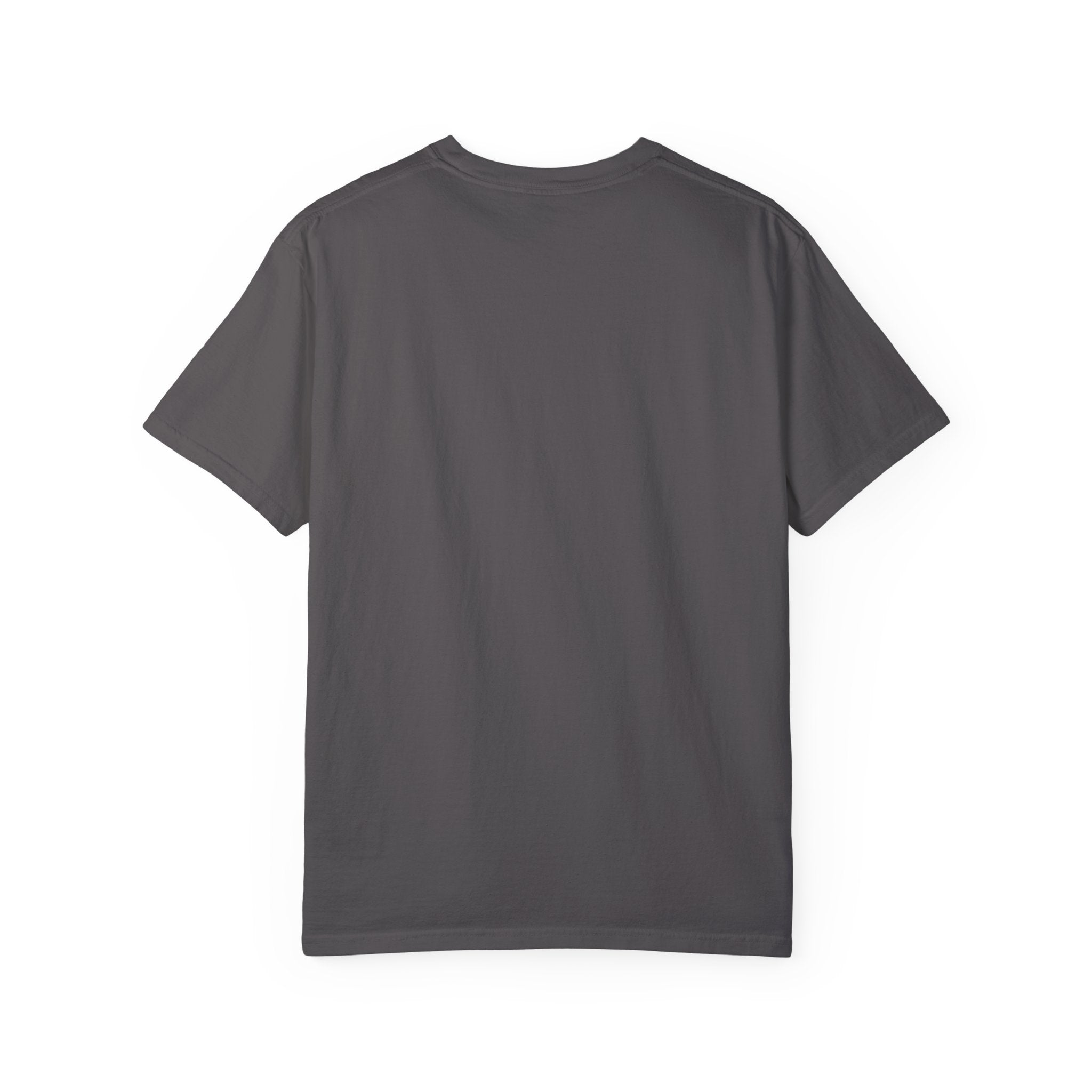 Business Proposal Unisex Garment-Dyed T-shirt